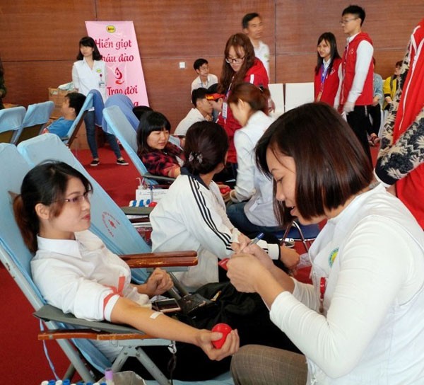 Many young people give their blood at teh festival (Photo: SGGP)